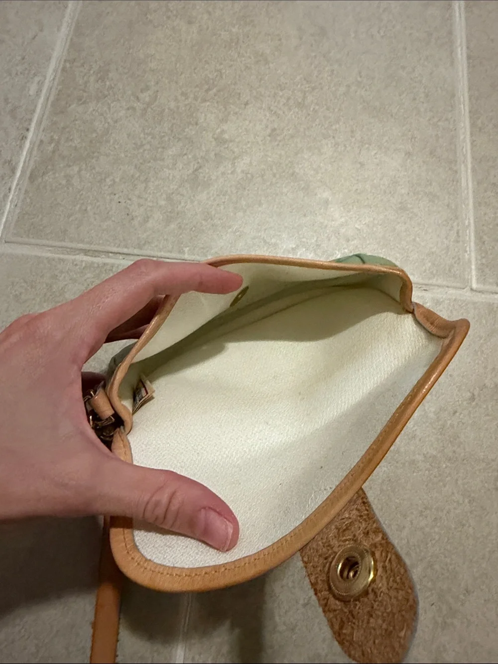 Dooney & Bourke Mint Wristlet with Multicolor Logo and Tan Trim